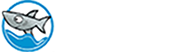 网站首页